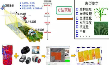 無(wú)人機(jī)遙感作物育種